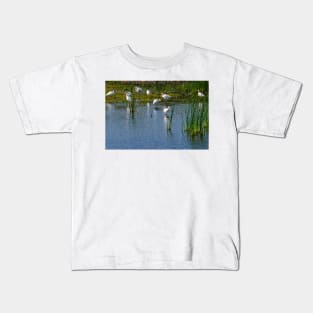 Congregation of Ibis In the Wetlands Kids T-Shirt